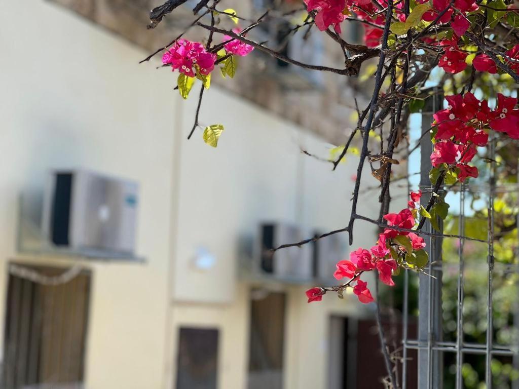 Godson Talpiot Aparthotel Haifa Luaran gambar